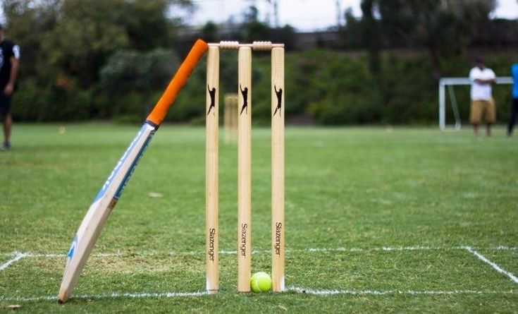 Cricket Ground 🏟️